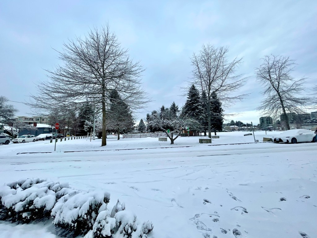 Fall 2021 at Trout Lake Park  Vancouver BC