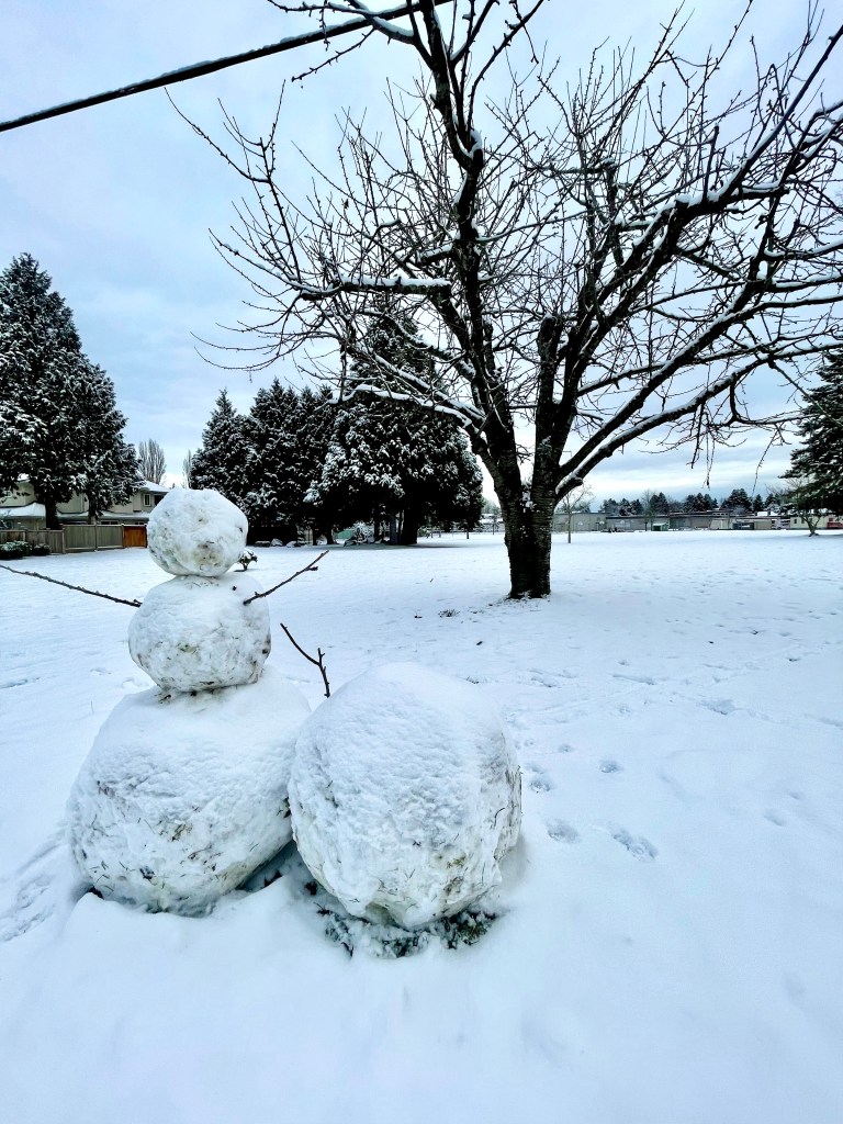 Fall 2021 at Trout Lake Park