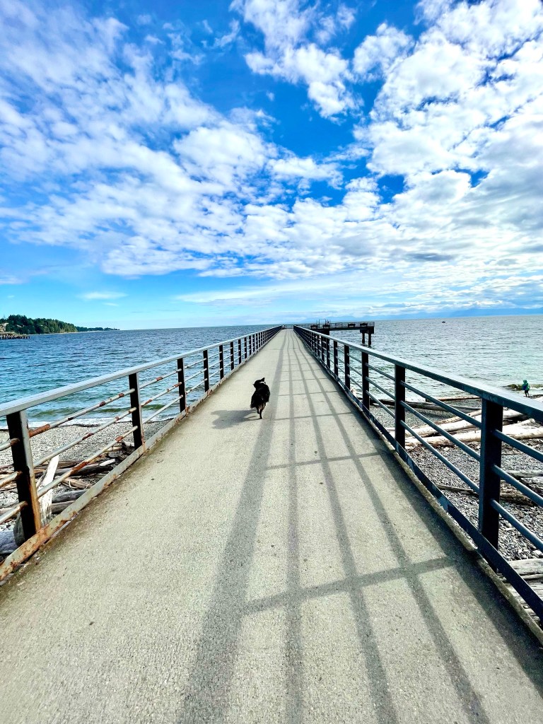 Sunshine Coast Sechelt BC