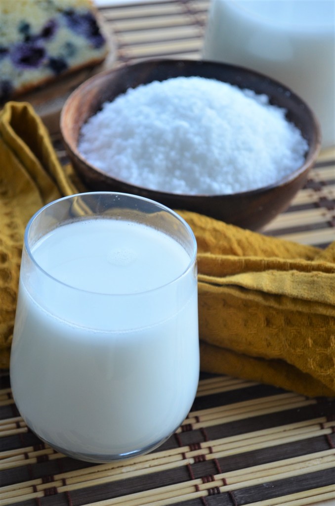 How to Make Coconut Milk By SweetNSpicyLiving
