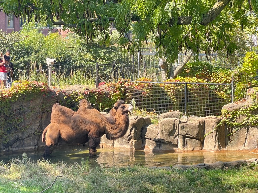 Lincoln Park Zoo Chicago Illinois