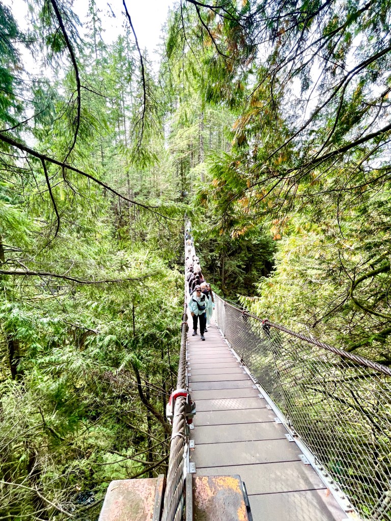 Lynn Canyon Suspension Bridge