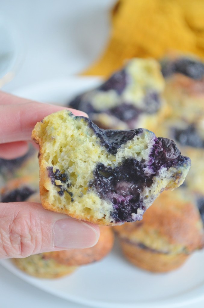 Small Batch Mini Blueberry Muffin 