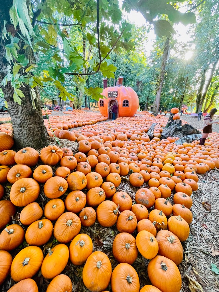 Maan Farms Abbotsford BC Canada