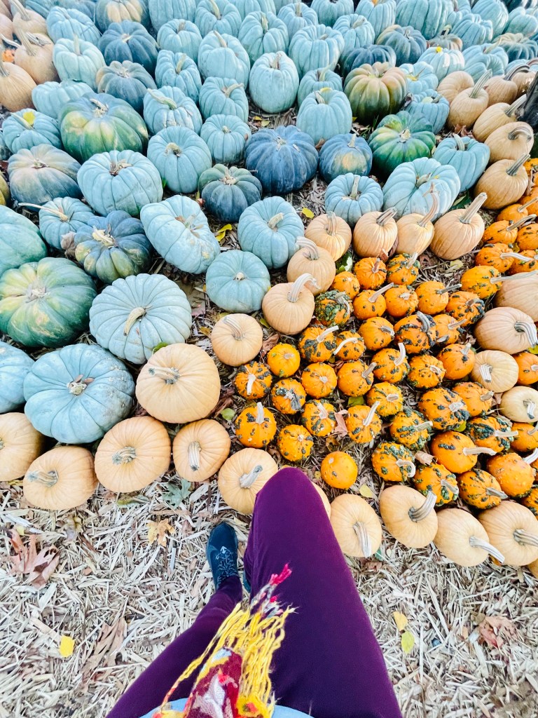 Maan Farms Abbotsford BC Canada