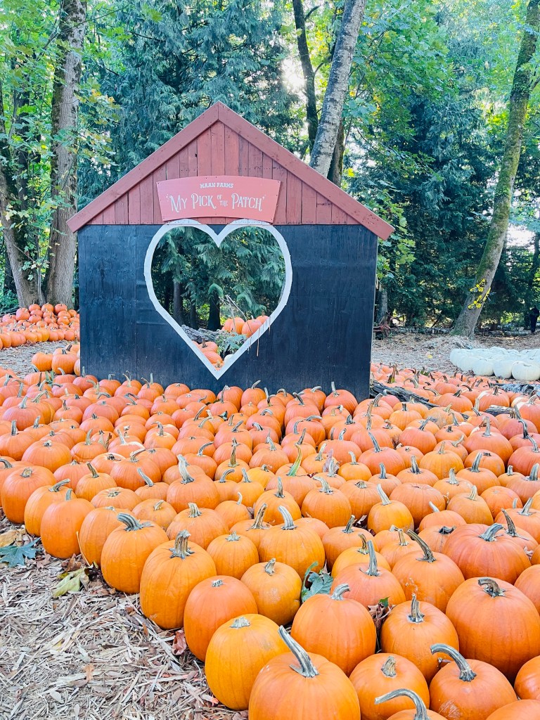Maan Farms Abbotsford BC Canada